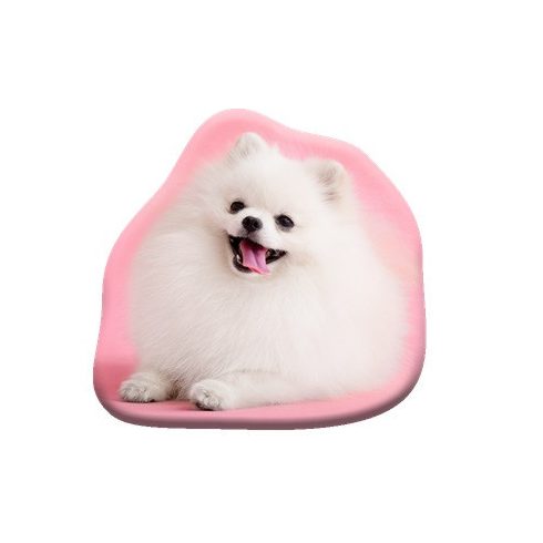 Kutyás Pomeranian formapárna, díszpárna 39x37 cm  Velúr