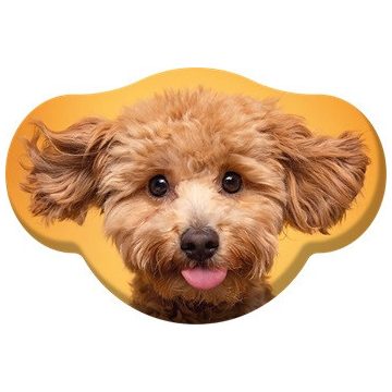 Kutyás Toy Poodle formapárna, díszpárna  28x40 cm Velúr