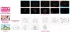 Disney Hercegnők Beauty scratch képkarcoló készlet és activity szett