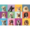 Clementoni puzzle s 300-dielnou tematikou zvieratiek