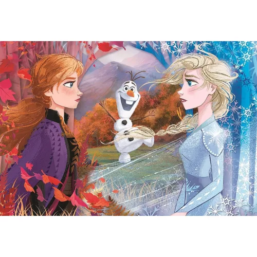 Disney Ľadové kráľovstvo Kontrasty 60-dielne maxi puzzle Clementoni