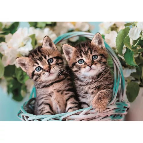 Puzzle Cat Lovely Twins, 60 dielikov, Clementoni