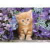 Clementoni kompaktné puzzle Cicás Ginger 500 dielikov
