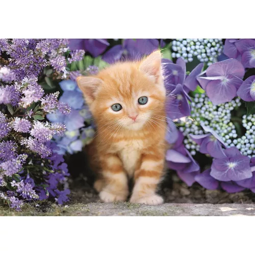Clementoni kompaktné puzzle Cicás Ginger 500 dielikov