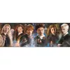 Harry Potter Contrast 1000 db-os panoráma puzzle Clementoni