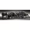 Elefánt Herd of Giants 1000 db-os panoráma Compact puzzle Clementoni
