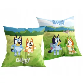   Kissen „Sonnentag“ von Bluey, Dekokissen 38x38 cm aus Velours