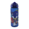 Plastová fľaša na pitie Sonic the Hedgehog Fast Lane s matnou slamkou, 600 ml