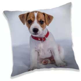 Jack-Russell-Hundekissen, Dekokissen 40 x 40 cm