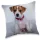 Jack-Russell-Hundekissen, Dekokissen 40 x 40 cm