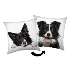 Border-Collie-Hundekissen, Dekokissen 40x40 cm