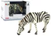 Nagyméretű gyűjtői figura, a világ zebraállatai
