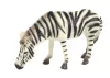 Nagyméretű gyűjtői figura, a világ zebraállatai