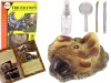 Triceratops dinoszaurusz ásatási oktatókészlet