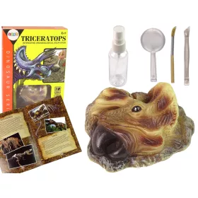 Triceratops dinoszaurusz ásatási oktatókészlet