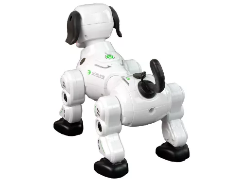 Interaktív távirányítású robotkutya