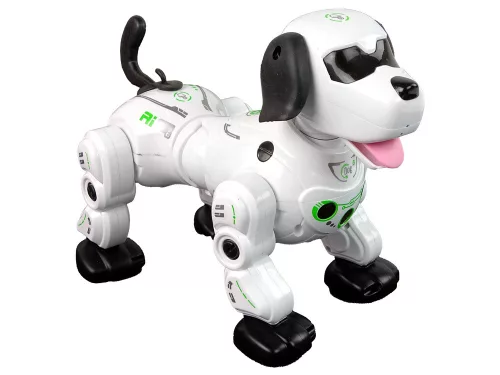 Interaktív távirányítású robotkutya