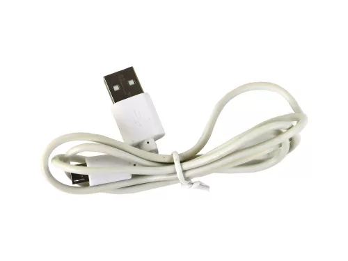 Dinoszaurusz Pteroszaurusz LED Micro USB tojáslámpa