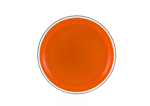 Repülő Korong Frizbi Dinoszauruszos Narancssárga 20 Cm