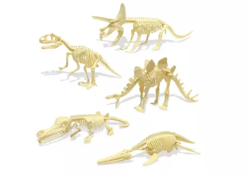 Régészeti készlet dinoszaurusz tojásfosszíliák