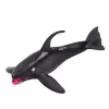 Mini Figura Készlet Tengeri Állatok Emlősök Kardszárnyú delfin Fotó Delfin 6-8cm 6db