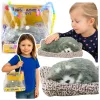 Alvó husky kutya párnán lévő figura szőrzsák hangokkal