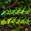 Fluoreszkáló zöld, sötétben világító gyík gumifigura 15cm