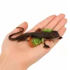 Agama gyík hálós gumifigura nyújtható valósághű 13 cm