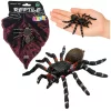 Pók Tarantula Gumifigura Nyújtható Realisztikus Fekete 10 cm