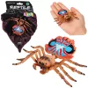 Pók Tarantula Gumifigura Nyújtható Realisztikus 12 cm