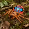 Pók Tarantula Gumifigura Nyújtható Realisztikus 12 cm