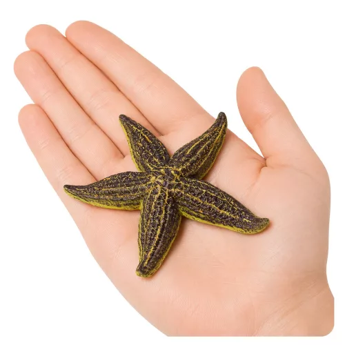 Tengeri csillag gumifigura, nyújtható, valósághű tengeri állat 9,5 cm