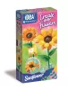 Idea Art kreatív készlet Mini Flower Factory Napraforgó Clementoni 18347