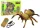 Távirányítós pók tarantula Távirányítós sárga