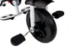 Tricikli PRO300 piros