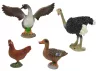 Farmállat figura készlet Farmer madarak