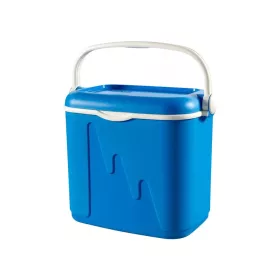 Curver Kühltasche L 32L