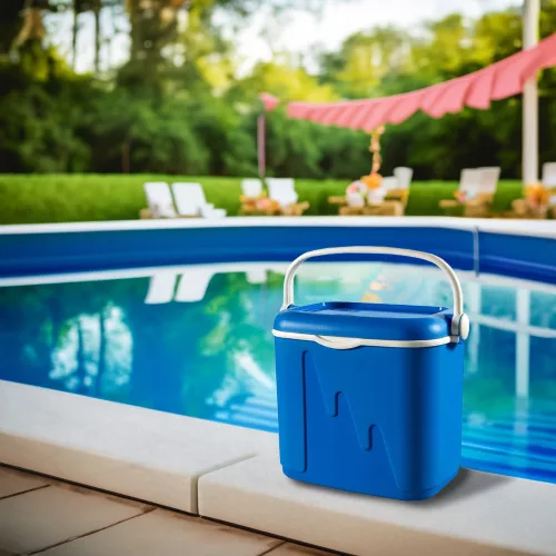 Curver Kühltasche L 32L