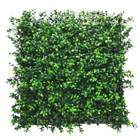 Buchsbaum-Kunststoff-Grünwand 50x50 cm