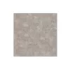 Leziter Reno Vinylboden in Steinoptik, Grau (SPC)