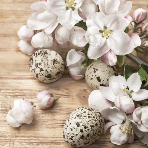 Húsvét Quail Eggs szalvéta 20 db-os 33x33 cm