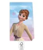 Papierové tašky Disney Frozen Wind 4 kusy FSC