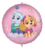 Fóliový balón Paw Patrol Skye a Everest 46 cm