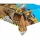 Plastový obrus Construction Grabber 120x180 cm