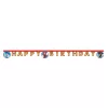 Nápis Sonic the Hedgehog Sega Happy Birthday FSC 2 m