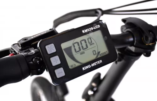 Capriolo E-BIKE Folding 20 M:2025 fekete elektromos kerékpár