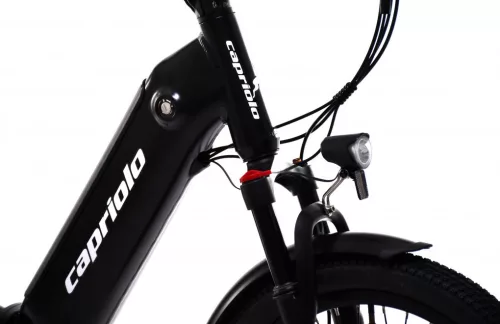 Capriolo E-BIKE Folding 20 M:2025 fekete elektromos kerékpár