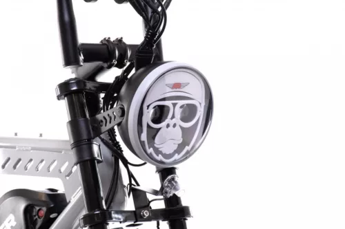 Capriolo APE RYDER MANDRIL ULTRA 2025 elektromos kerékpár, szürke