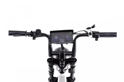 Capriolo APE RYDER MANDRIL ULTRA 2025 elektromos kerékpár, szürke