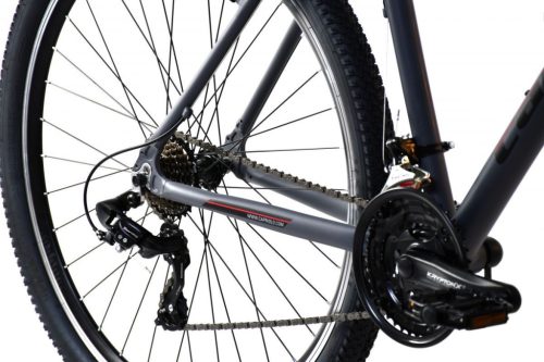 Hegyi kerékpár Capriolo LC 9.1 MTB 29„/21” szürke - piros 2024